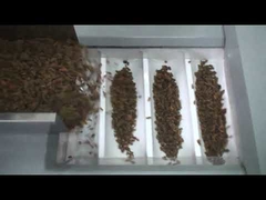 آلة تعبئة الزبيب بسعر المصنع ، آلة تعبئة المكسرات ، آلة تعبئة التمور الحمراء المجففة