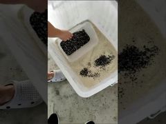 شاهد: آلة فرز الألوان LC-M4H لفرز الحبوب، عرض تقديمي لفاصل الألوان CCD للمعادن