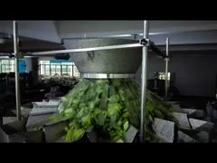 شاهد لماذا تختار آلة تعبئة أكياس بذور اليقطين الجاهزة آلة وزن وتعبئة الأكياس بسحاب