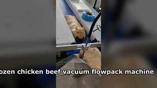 من السهل تشغيل الدجاج المجمد ولحم البقر ولحم الخنزير آلة التعبئة والتغليف وسادة فراغ آلة التعبئة والتغليف حزمة التدفق